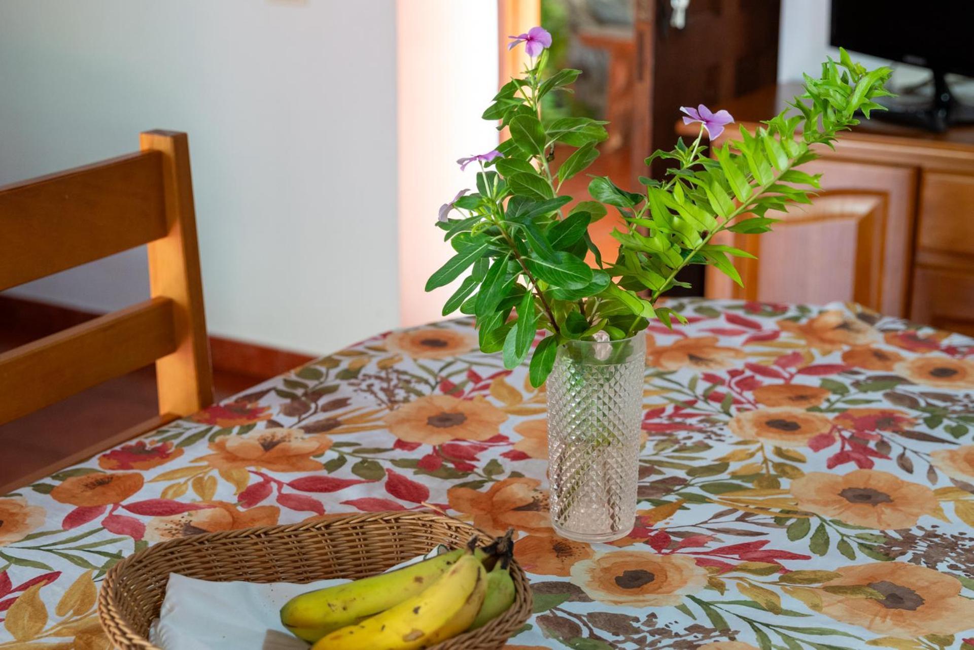 הרמיגואה Casa Rural Las Nuevitas I מראה חיצוני תמונה